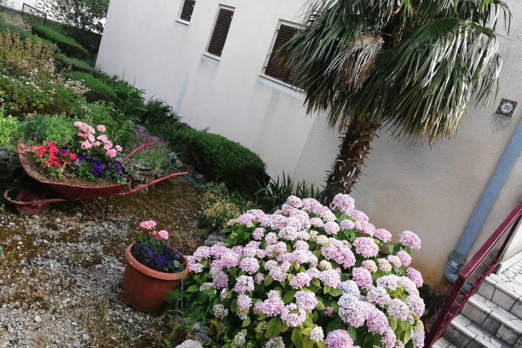 Spacious 2-Room Apartment With Beautiful Sea View Crikvenica Dış mekan fotoğraf